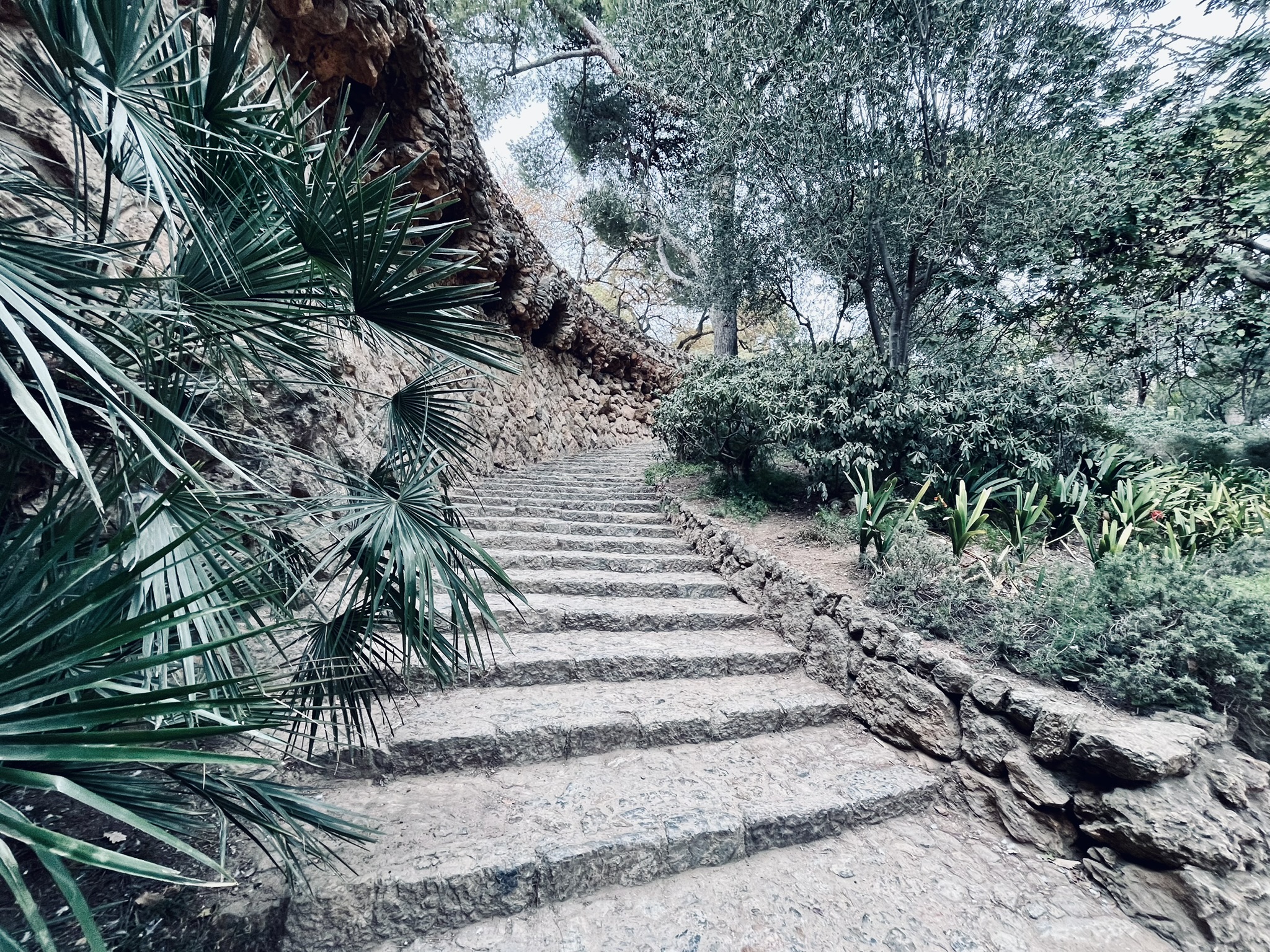 Parc Güell. Barcelona, Espanha, 2024.