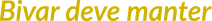 Polygon