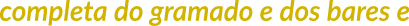 Polygon